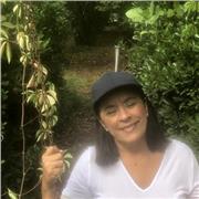 Lezione per studente elementare e scuola basica